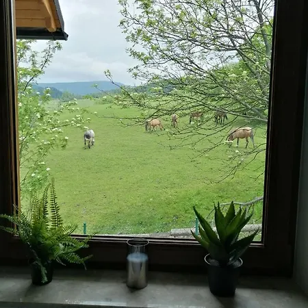 Zakątek Homole Apartament Jaworki