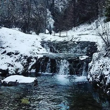 Daire Zakatek Homole