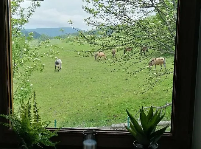 Zakątek Homole Apartament Jaworki